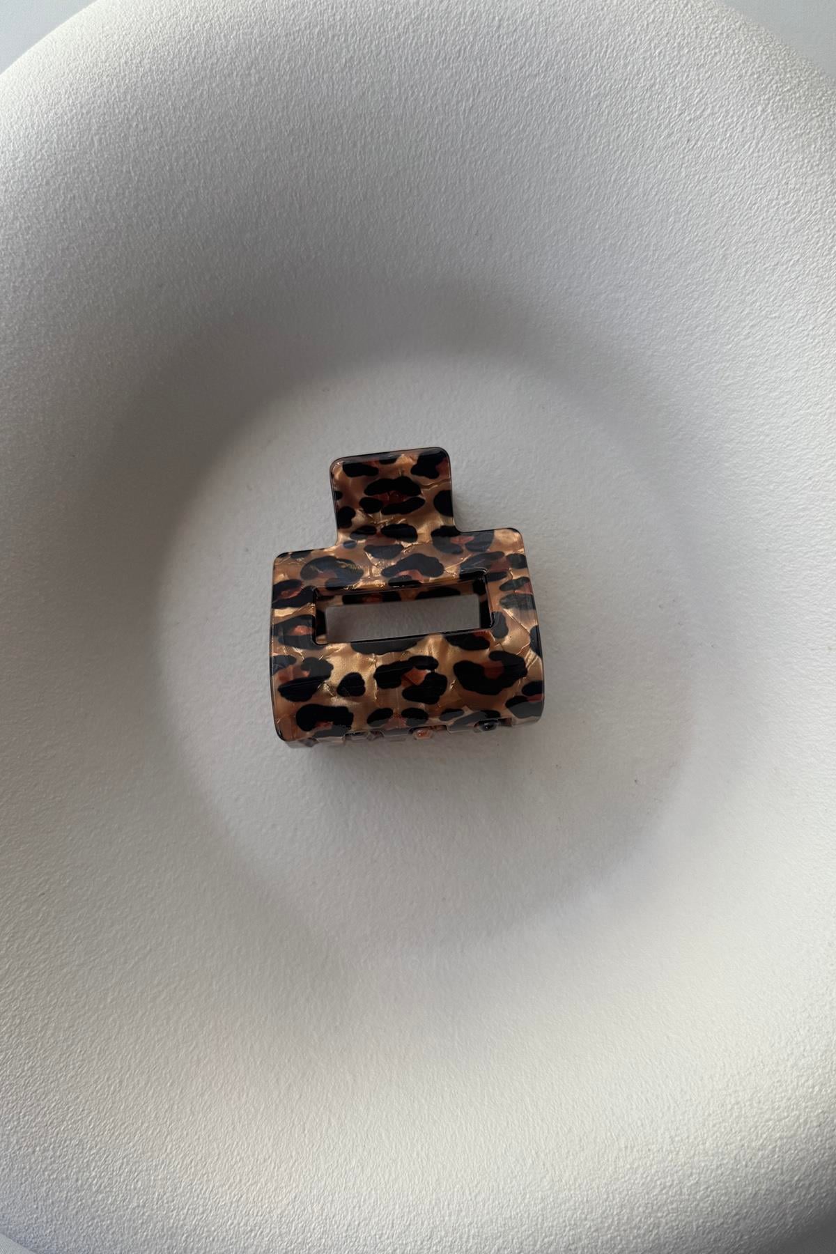 LEOPAR ARA BOY MANDAL TOKA