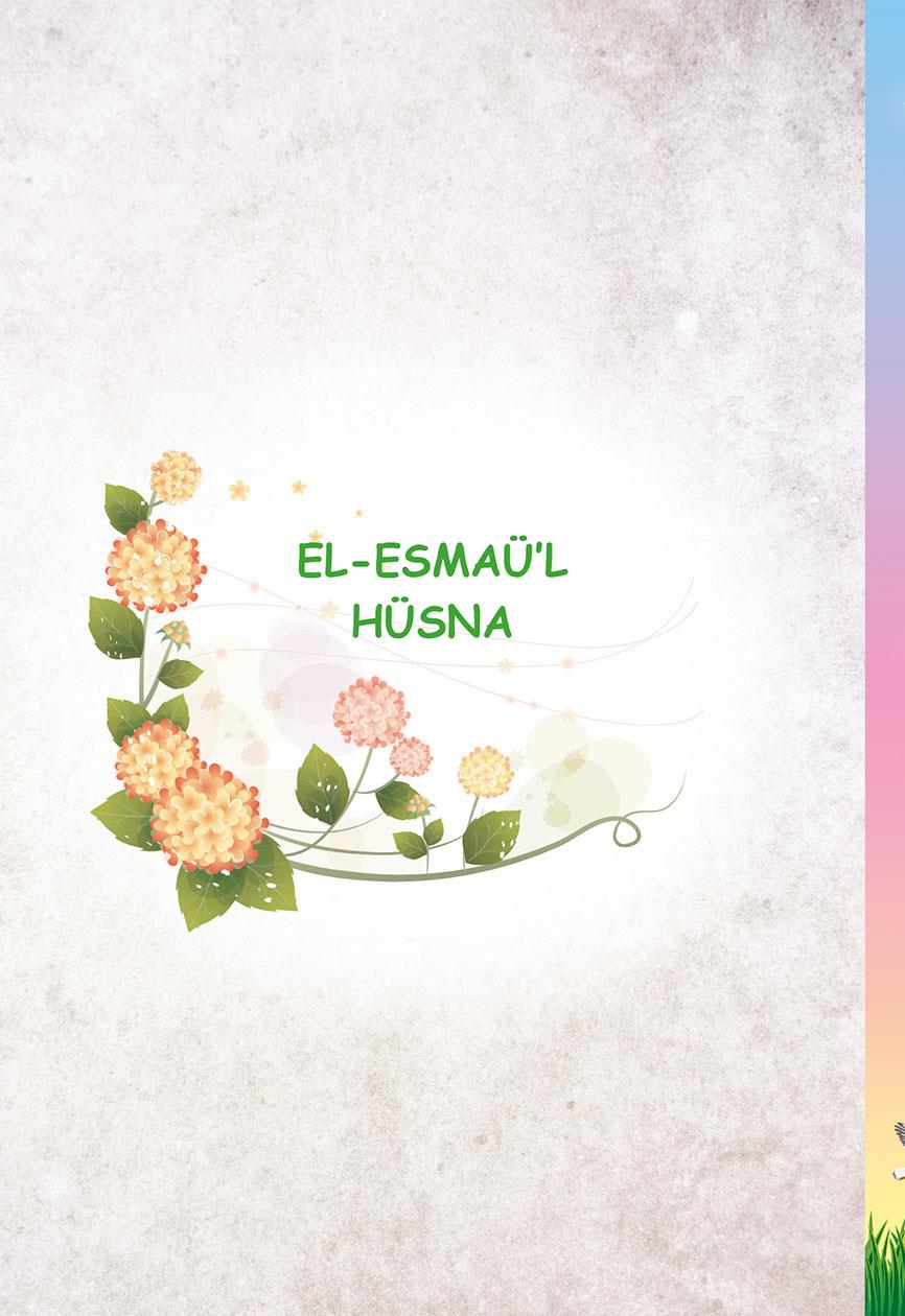 Bilgi Hazinem - Numan Nurullah Aras