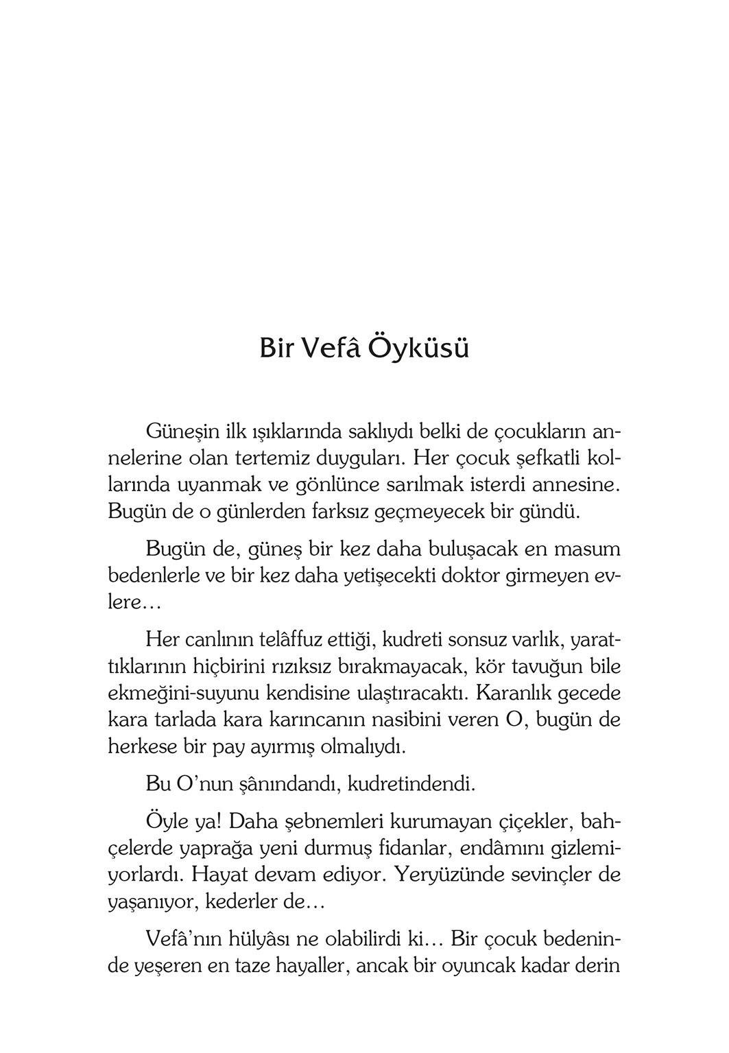 Bir Vefa Öyküsü - Şefika Kaya Meriç