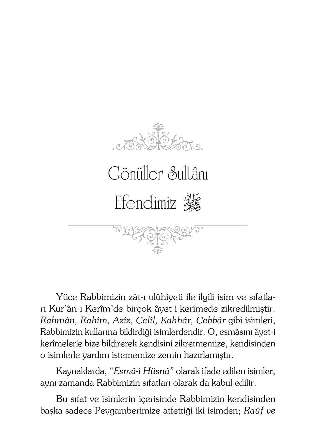 Gönüller Sultanı Efendimiz - Şefika Kaya Meriç