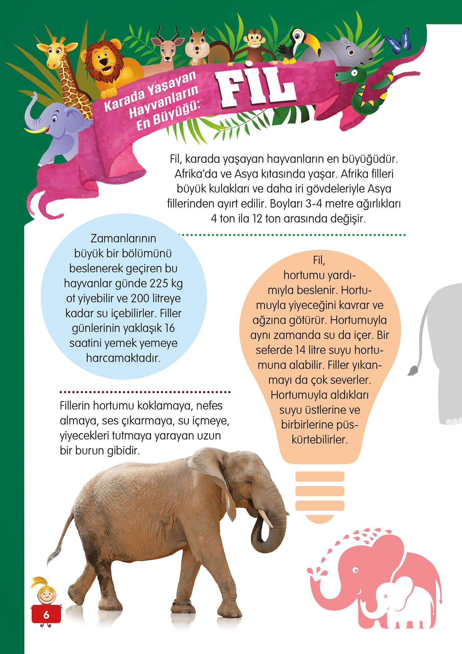 Hayvanlar Alemi - 1 - Mete Ulusoy