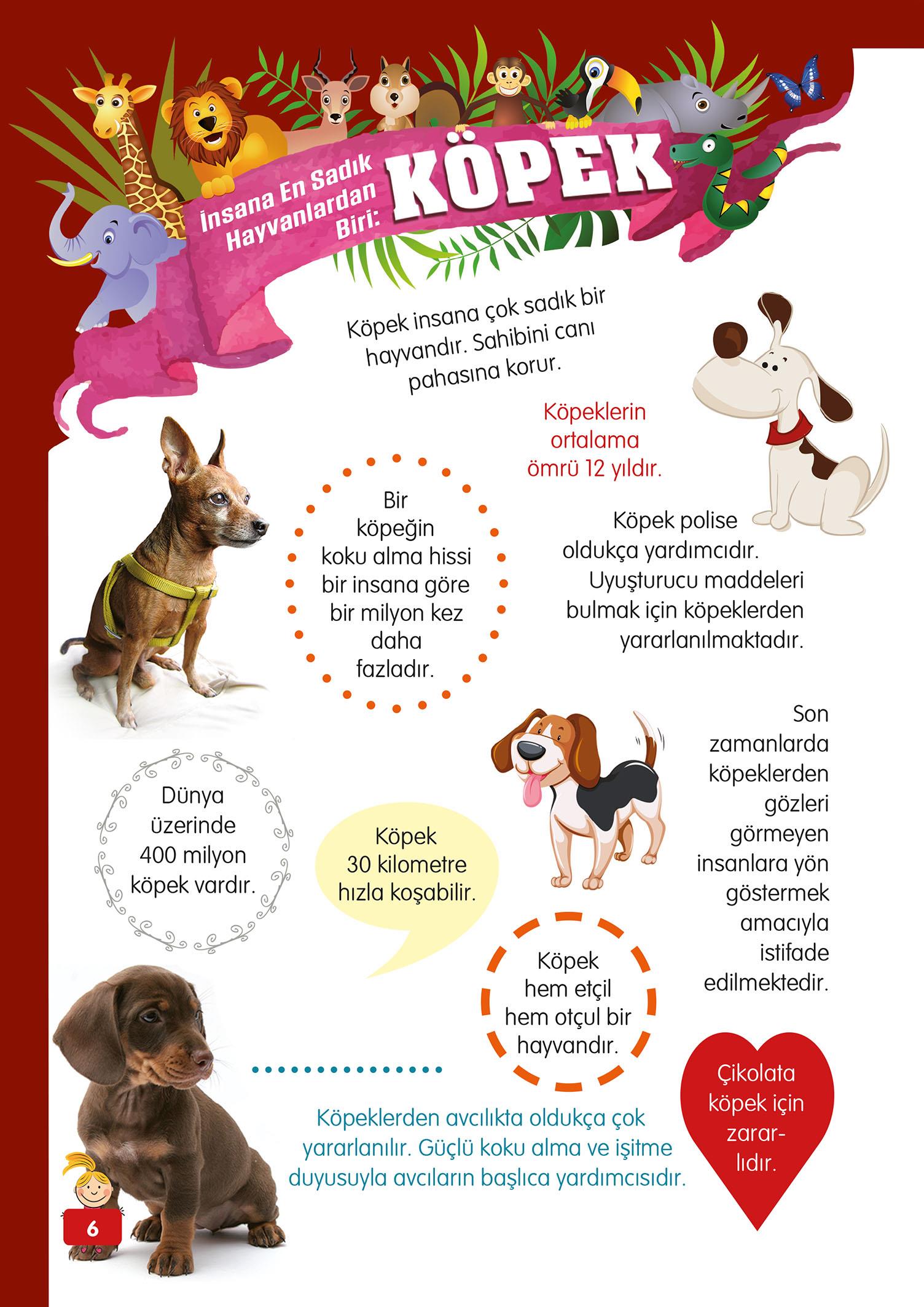 Hayvanlar Alemi - 2 - Mete Ulusoy