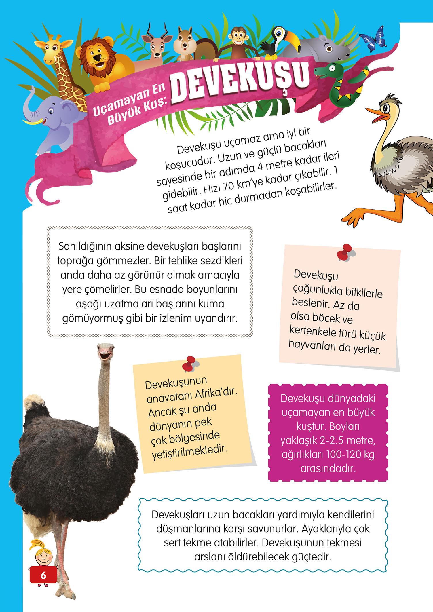 Hayvanlar Alemi - 3 - Mete Ulusoy