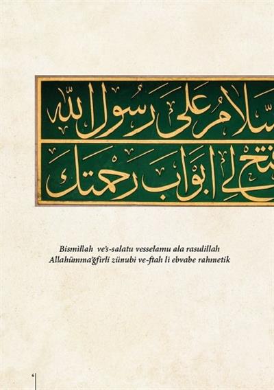 Altın Silsile (Fotoğraflı) - Prof. Dr. Necdet Tosun