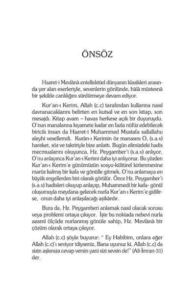 Aşk Ummanı Mevlana - Prof. Dr. Ethem Cebecioğlu