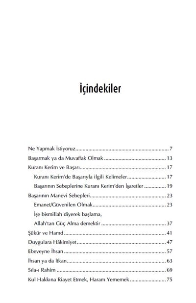 Başarının Manevi Sebepleri - Faruk Beşer
