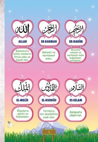 Bilgi Hazinem - Numan Nurullah Aras