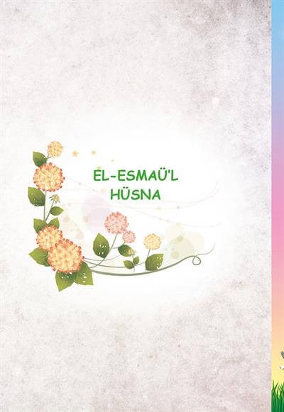 Bilgi Hazinem - Numan Nurullah Aras