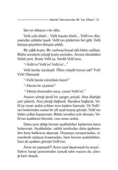 Bir Vefa Öyküsü - Şefika Kaya Meriç
