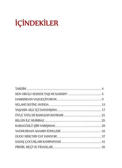 Bitmeyen Macera (5 Kitap Takım) - Nehir Aydın Gökduman