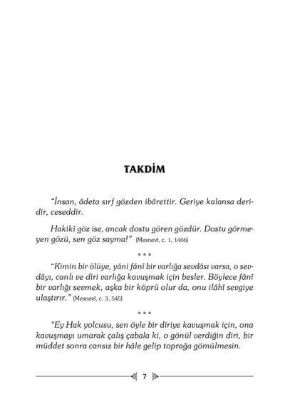 Dostun Divanına - Halime Demireşik