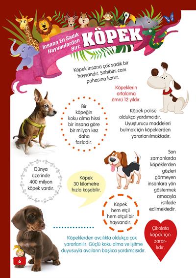 Hayvanlar Alemi - 2 - Mete Ulusoy