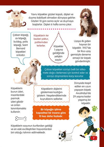 Hayvanlar Alemi - 2 - Mete Ulusoy