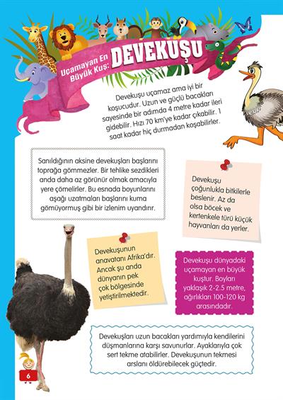 Hayvanlar Alemi - 3 - Mete Ulusoy