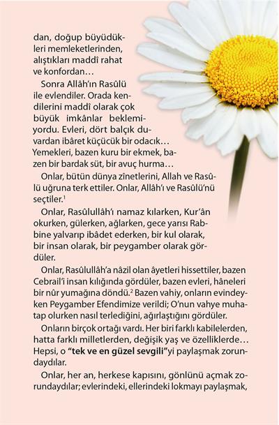 Müminlerin Anneleri (10 Kitap - Kutulu) - Halime Demireşik