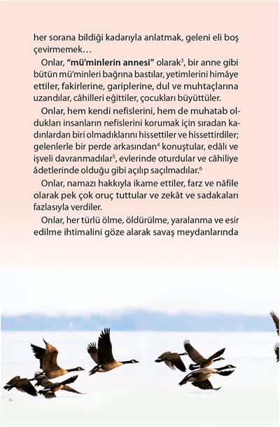 Müminlerin Anneleri (10 Kitap - Kutulu) - Halime Demireşik