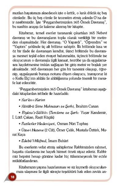 Peygamber Efendimizden 365 Örnek Davranış - Mehmet Köprülü