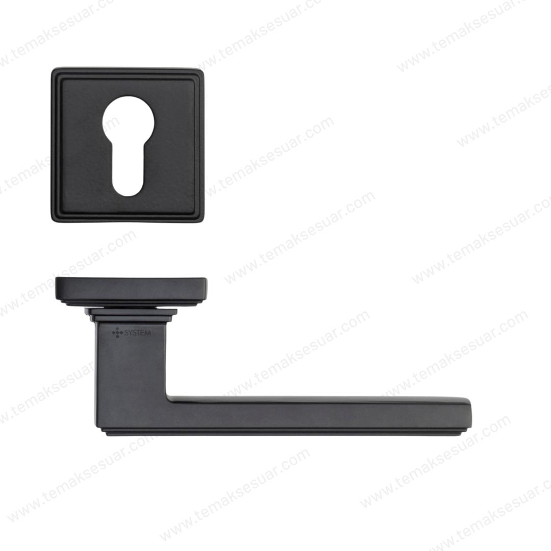 Assos Rozetli Kapı Kolu Mat Siyah Renk