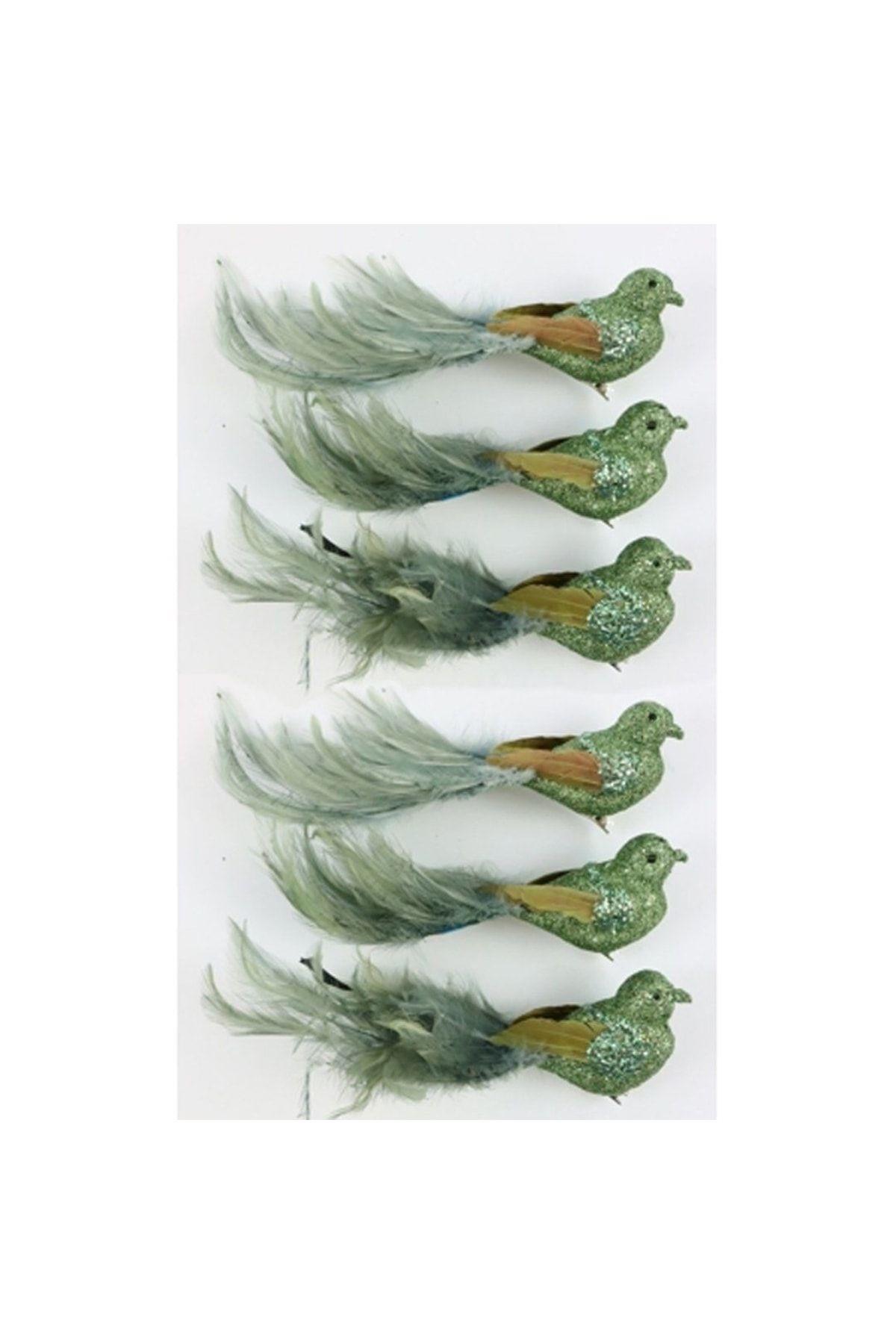 Federstolz Yeşil Kuşlar (6 Parça)