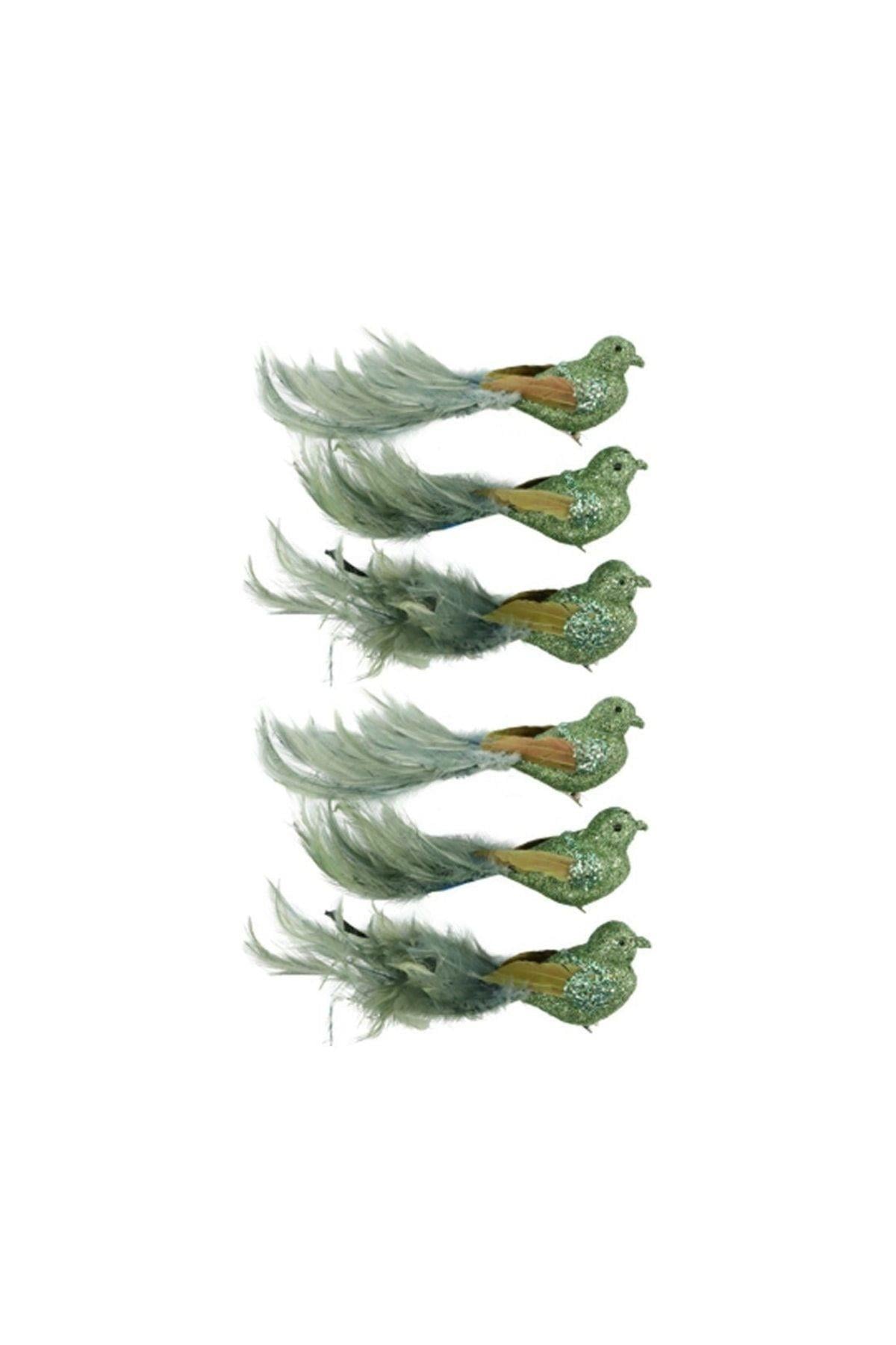 Federstolz Yeşil Kuşlar (6 Parça)