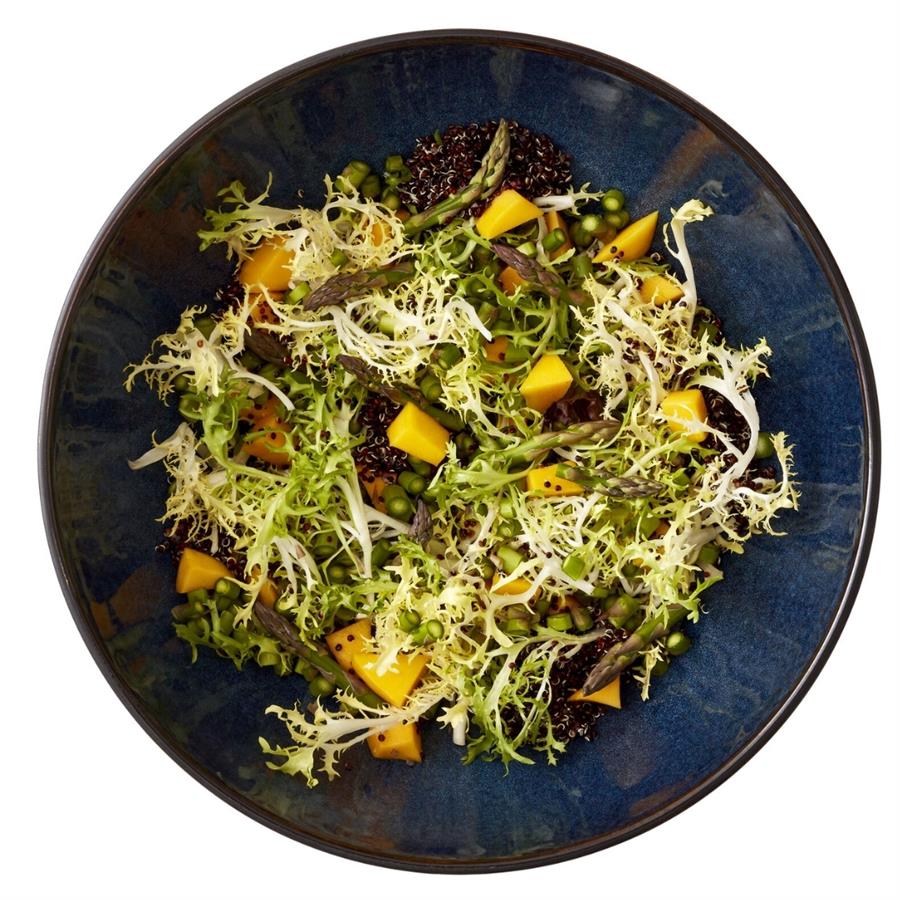 Gastro Salata Kasesi Siyah/Koyu Mavi Çap:30 Cm