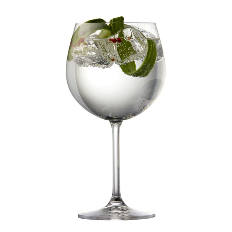 Juvel Cin Ve Tonik Bardağı Seti (4 adet) 57 cl