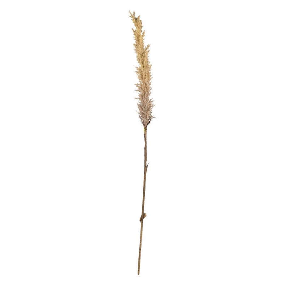 Kvist Dekor Doğal Çimler Dark 115 Cm