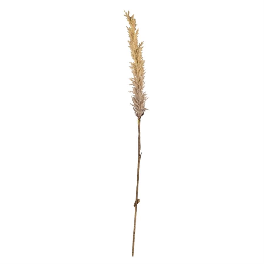Kvist Dekor Doğal Çimler Light 115 Cm