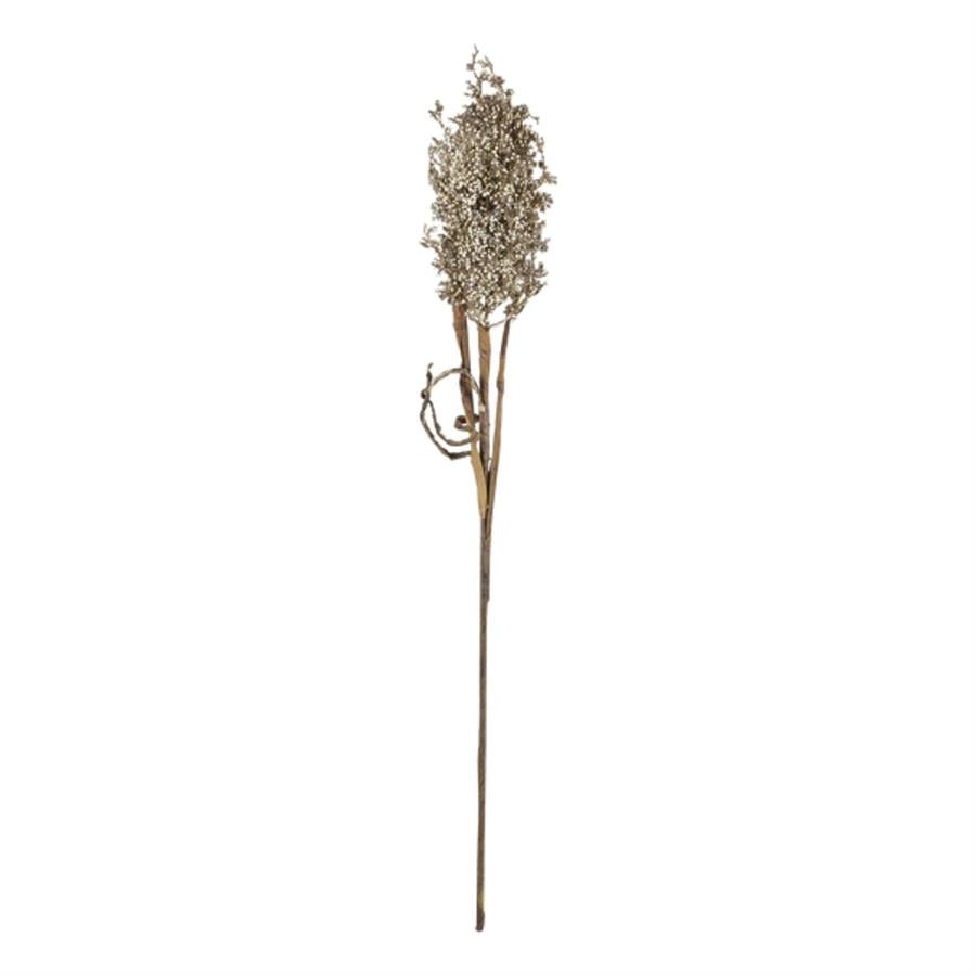 Kvist Dekor Doğal Pampus Grass Light 83 Cm