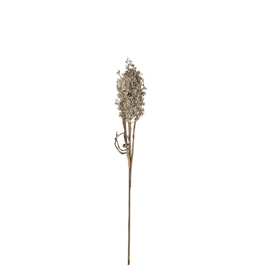 Kvist Dekor Doğal Pampus Grass Light 83 Cm