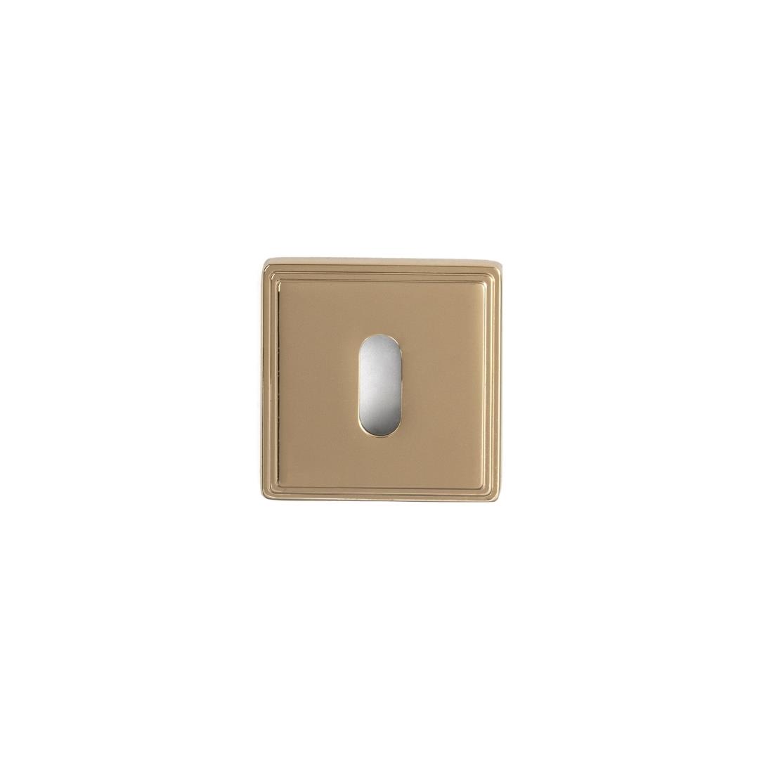 RO17 Kapı Kolu Rozeti Oda Mat Altın 53x53x10 mm