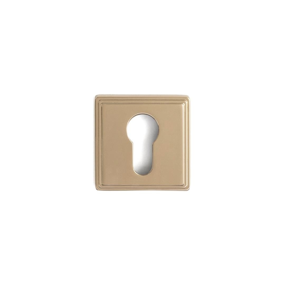 RO17 Kapı Kolu Rozeti Yale (Dış Kapı) Mat Altın 53x53x10 mm