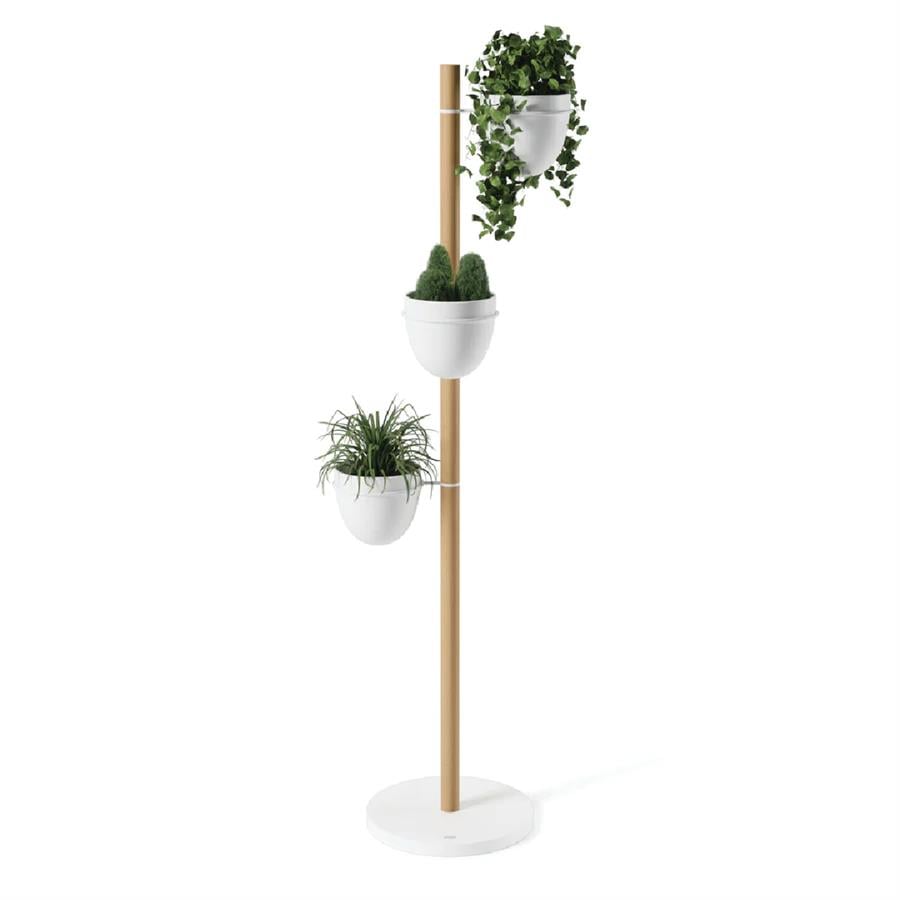 Umbra Floristand Saksı, Bağımsız Bitki Depolama, Beyaz/Doğal