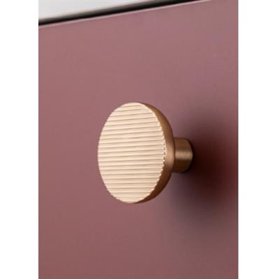 4724 Zamak Düğme Kulp Şampanya Saten Renk Çap: 38 mm