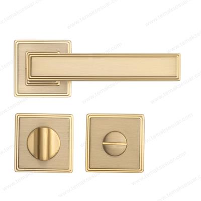 Assos Rozetli Kapı Kolu Mat Altın Renk