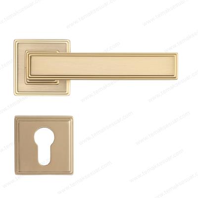 Assos Rozetli Kapı Kolu Mat Altın Renk