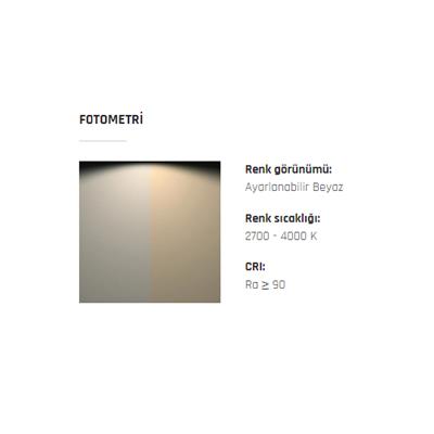 Dağınık Işık Projeksiyonlu Led Spot - Atom D-M 3W 24V F17