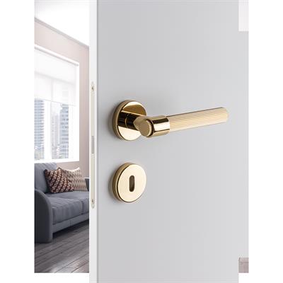 Axel-L Rozetli Kapı Kolu Takımı Altın Renk