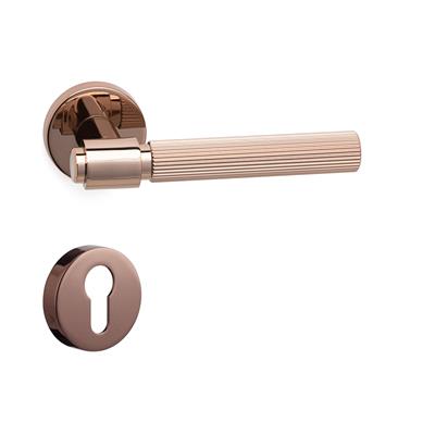 Axes-L Rozetli Kapı Kolu Takımı Rose Renk