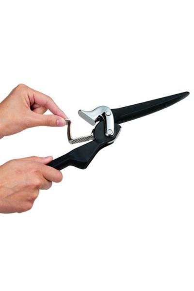 ChefN Freshforce™ Sarımsak Presi Rende