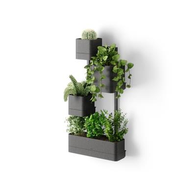 Cubiko Duvar Saksısı Siyah Renk