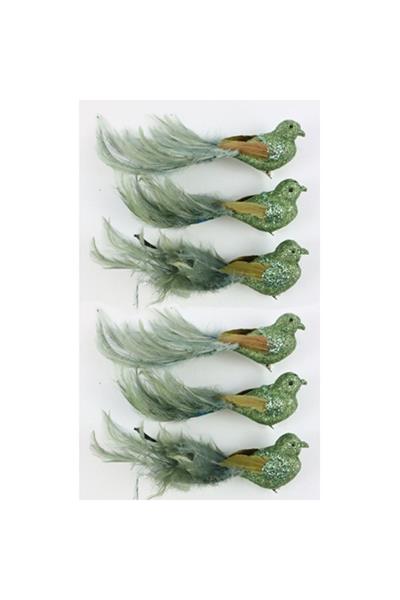 Federstolz Yeşil Kuşlar (6 Parça)