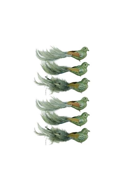 Federstolz Yeşil Kuşlar (6 Parça)