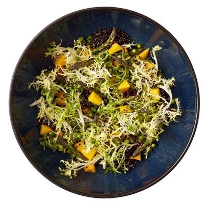 Gastro Salata Kasesi Siyah/Koyu Mavi Çap:30 Cm