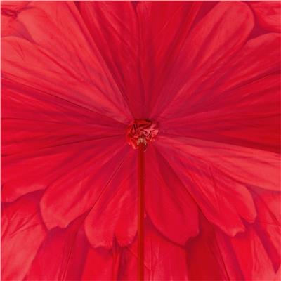 Dahlia Kırmızı Asetat Saplı Çift Kat Kumaşlı Şemsiye 93 cm