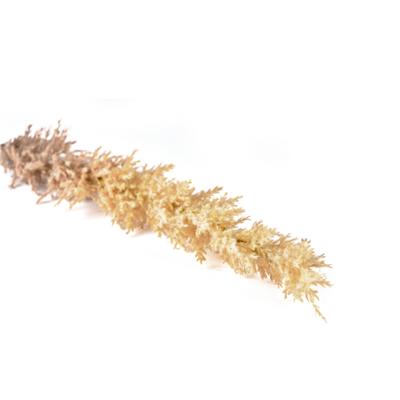 Kvist Dekor Doğal Çimler Light 115 Cm