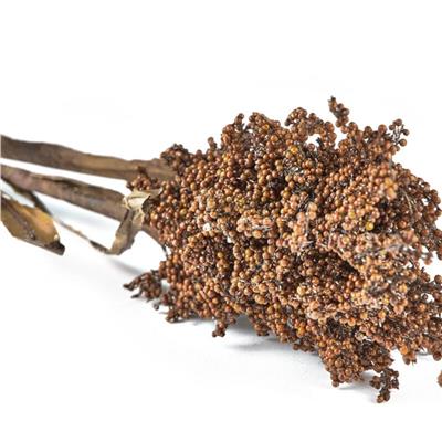 Kvist Dekor Doğal Pampus Çim Koyu 86 Cm