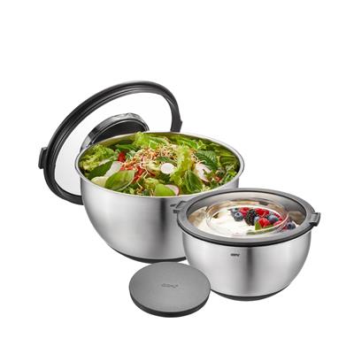 Muovo 2Li Set Sıçrama Koruma Kapaklı Kase Seti 2,5 Ve 4,5 Litre