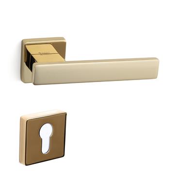 Norma Rozetli Kapı Kolu Takımı Altın Rengi