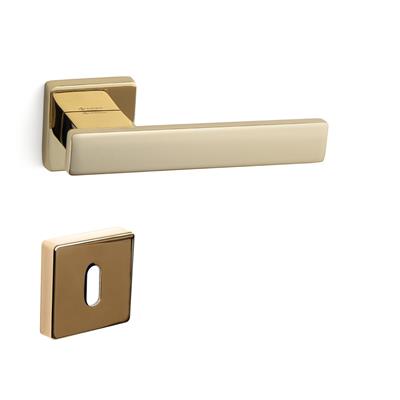 Norma Rozetli Kapı Kolu Takımı Altın Rengi